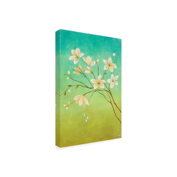 Pablo Esteban 'White Flower Branch 1' Canvas Art,12x19